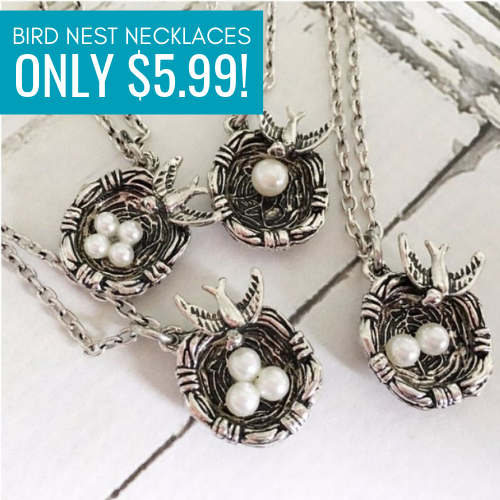 Mother Bird Nest Necklaces