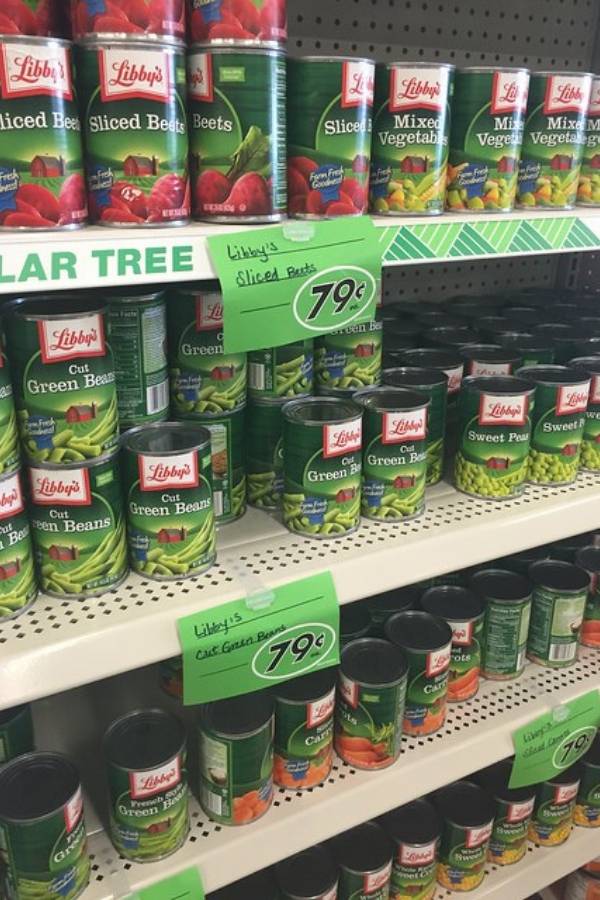 dollar tree bargain option