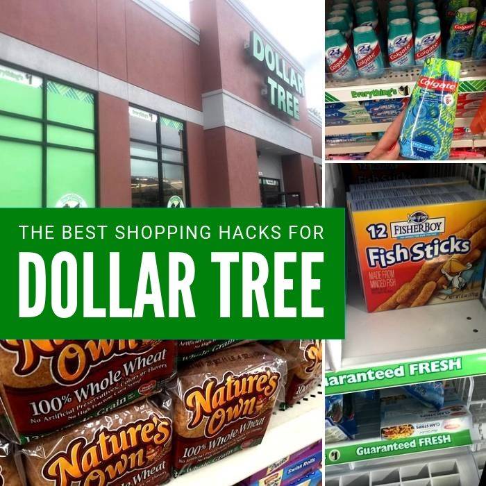 Dollar Tree Hacks
