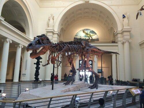 Museum Day Free Museum Entry For Two On April 4 2020