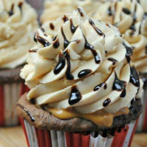 Chocolate Peanut Butter Cupcakes Recipe