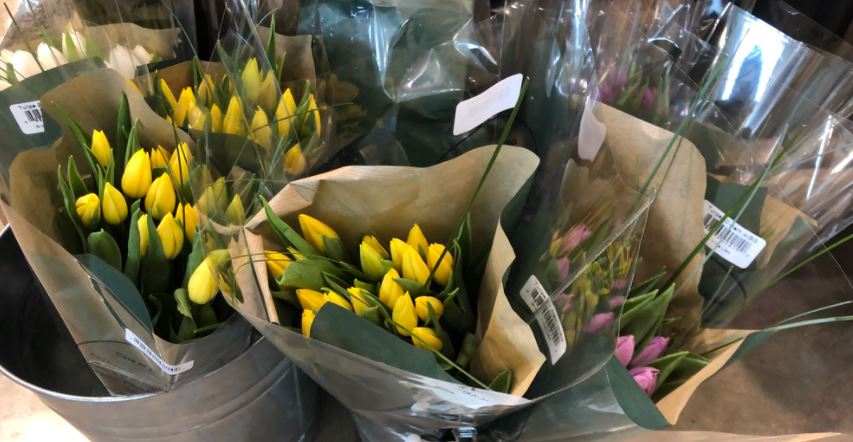 whole foods tulips
