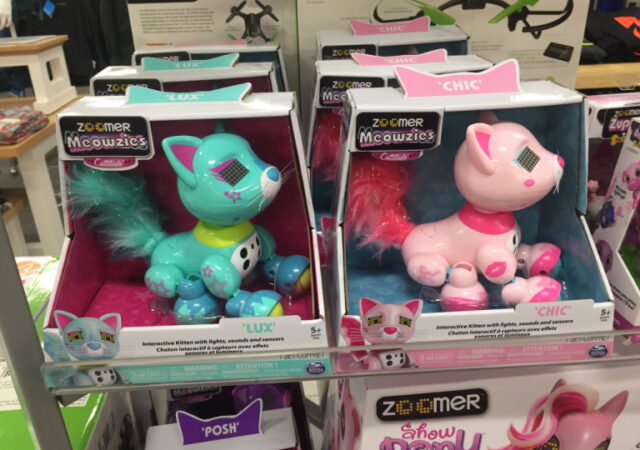 Black Friday Zoomer Deals