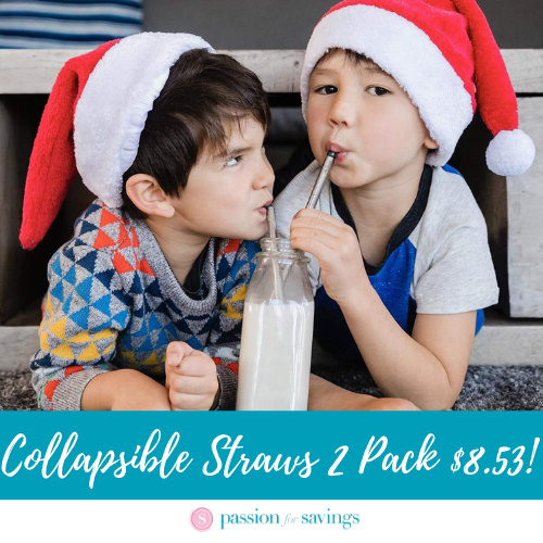 Collapsible Reusable Straws