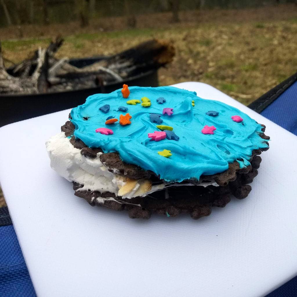 s'mores birthday cake by campfire