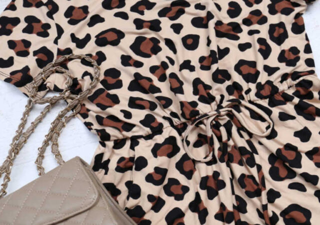 Leopard Print Women's Dress