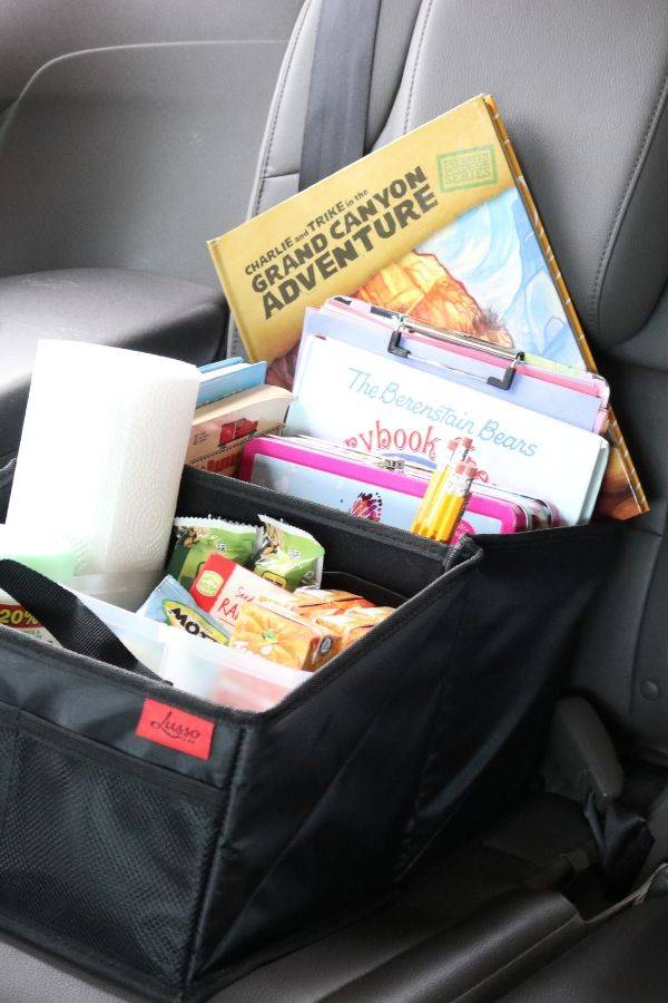 activitity carrier for car