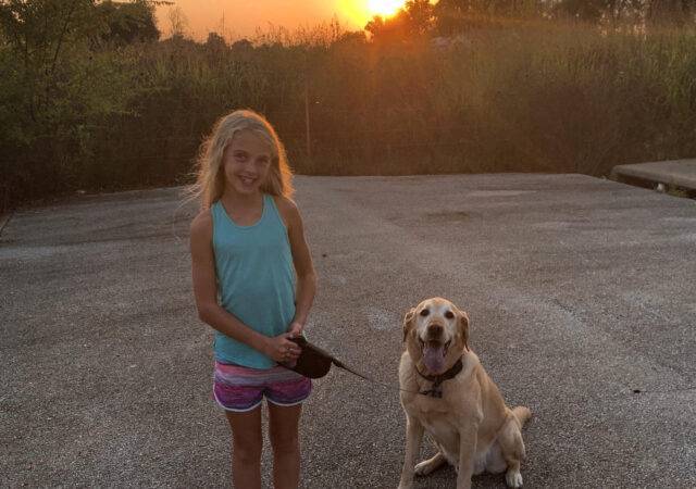 barkbox super chewer national dog day