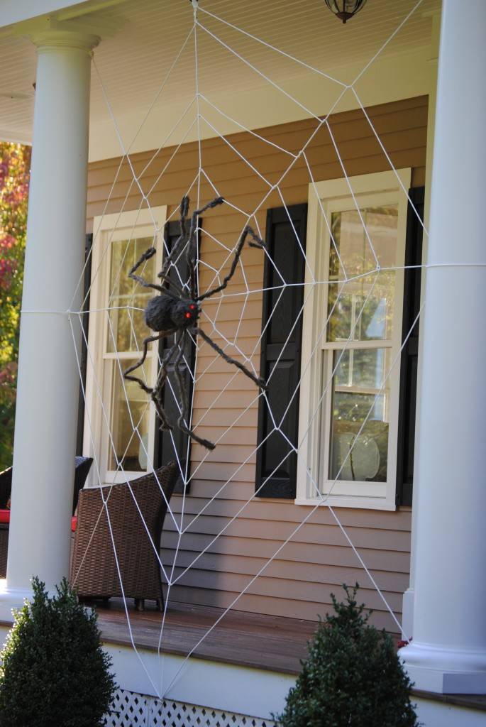 giant spiderweb