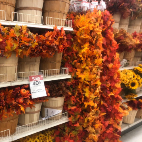 Michael's Coupons for Fall