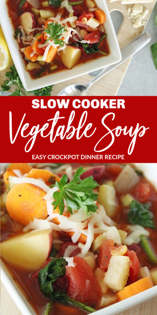 slow cooker vegetable soup