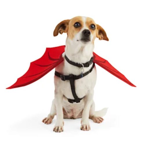 Pet Halloween Costumes on Sale at PetCo! ONLY 5 each and SO cute!!