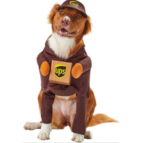 Pet Halloween Costumes on Sale at Chewy! Costumes for as low as 5.22!
