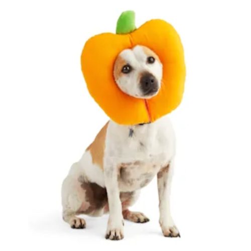 Pet Halloween Costumes on Sale at PetCo! ONLY 5 each and SO cute!!