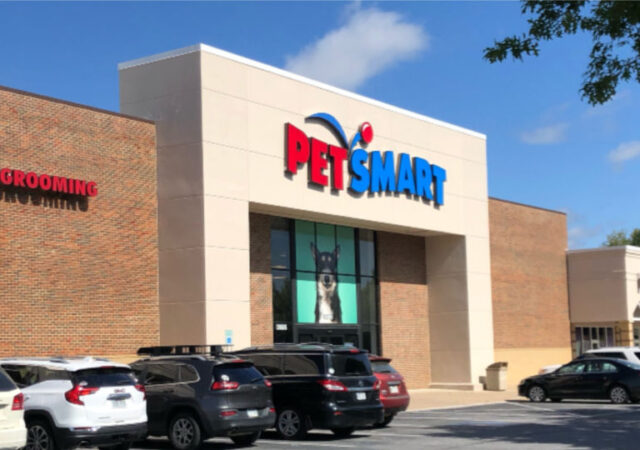 Petsmart Doggie Day Camp