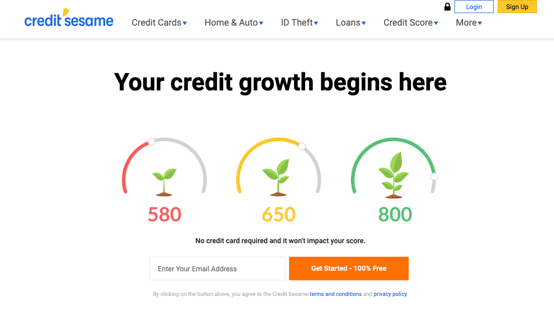 Free Credit Report