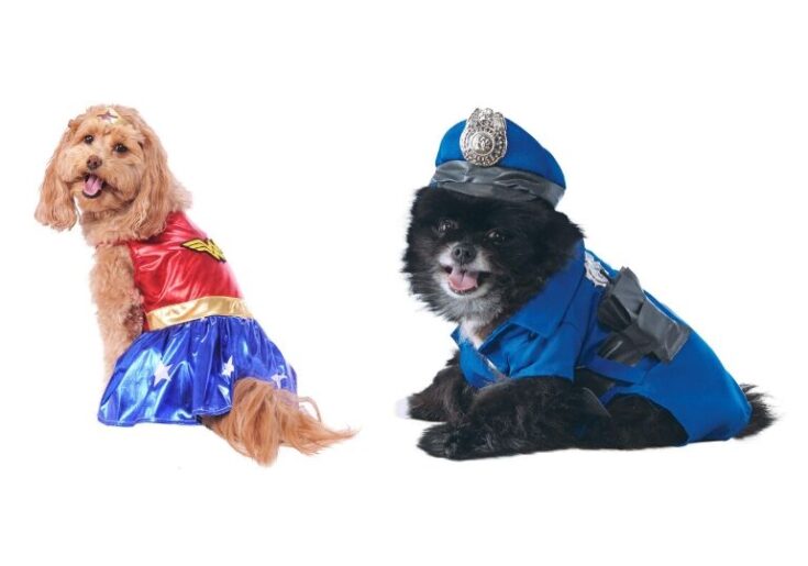 Pet Halloween Costumes on Sale at Amazon! Costumes up to 30 Off!