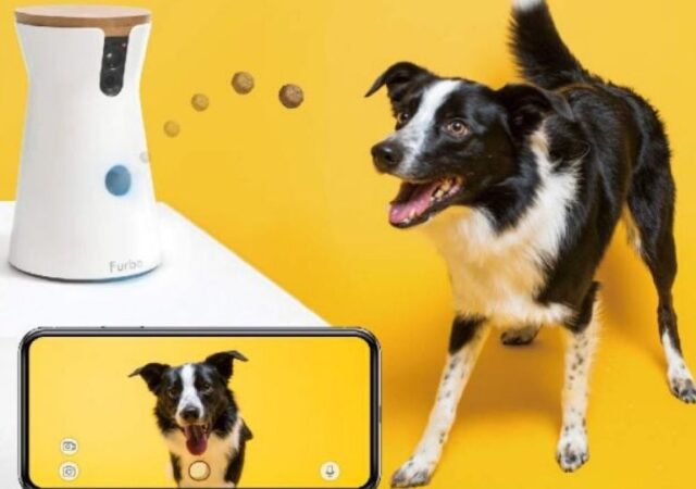 Find more Amazon Deals on our Amazon Deals Page.