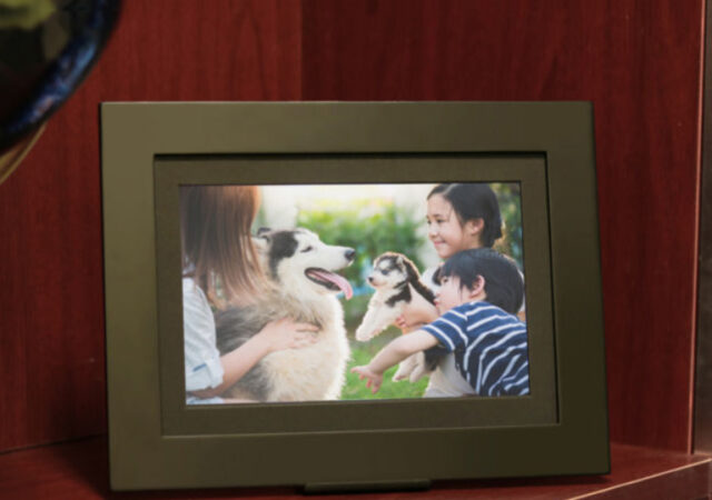 Brookstone Digital Photo Frame on Sale
