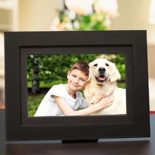 Brookstone Digital Photo Frame on Sale