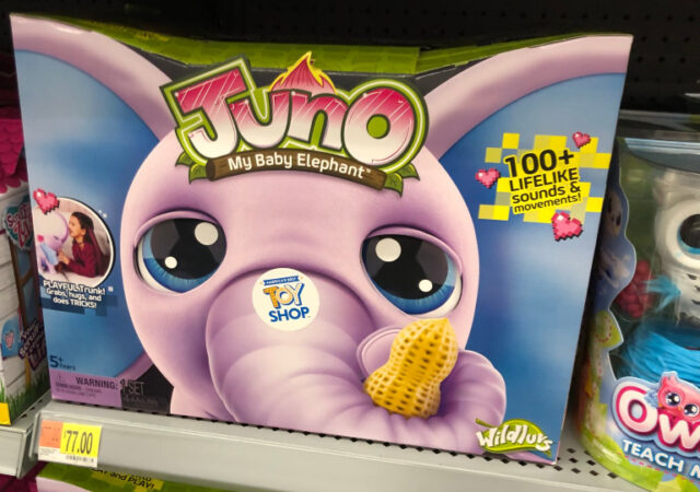 Juno My Baby Elephant on Sale