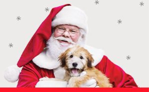 Pet Smart Free Pet Photos with Santa