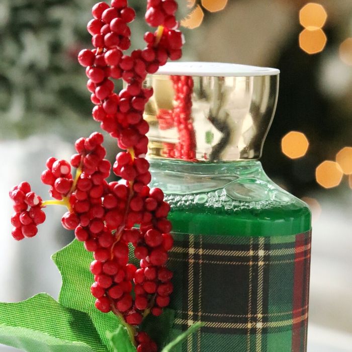 diy Christmas gift idea