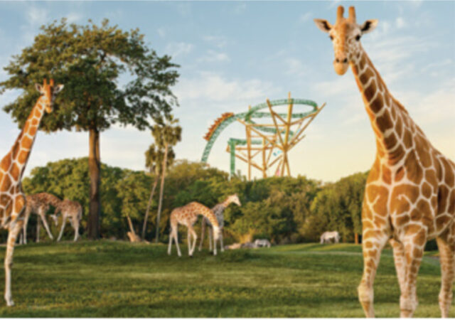 Free Bush Gardens Tickets