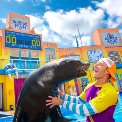 Free Seaworld Tickets for Teachers