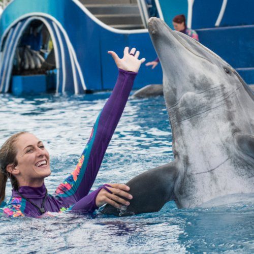 Free Seaworld Tickets for Teachers