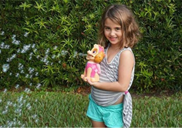 Paw Patrol Bubble Blowers on Sale