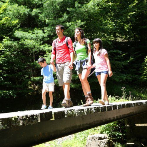 Free Things To Do Near You