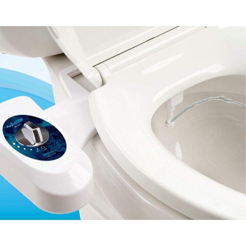 Alternatives to Toilet Paper