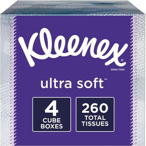 Alternatives to Toilet Paper