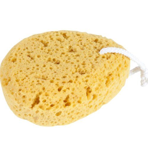 Alternatives to Toilet Paper