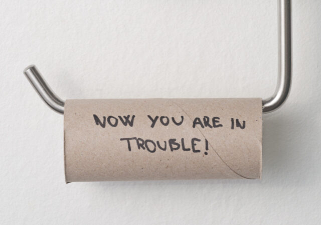 Alternatives to Toilet Paper