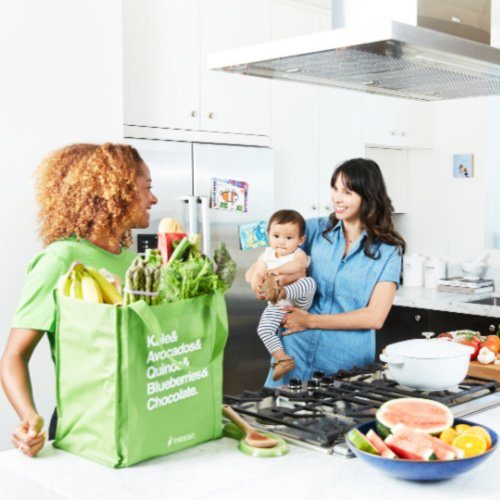 Grocery Delivery Services