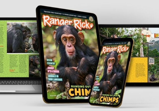 Kids Magazines Ranger Rick