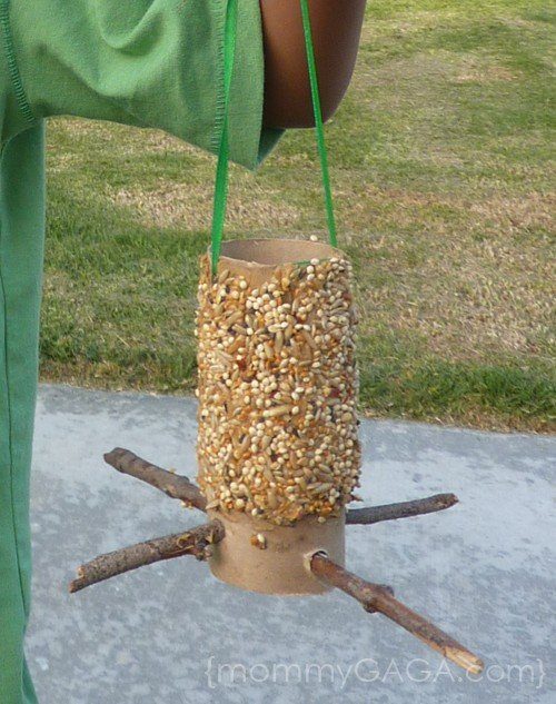 bird feeder toilet paper roll