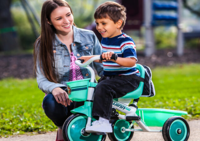 Schwinn Tricycle on Sale