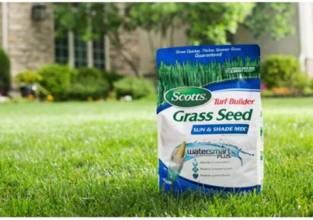 Target Lawn and Garden Sale