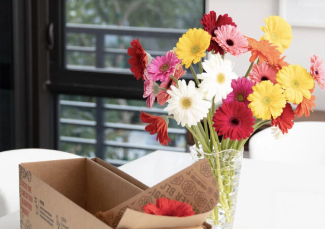 bloomsybox subscription