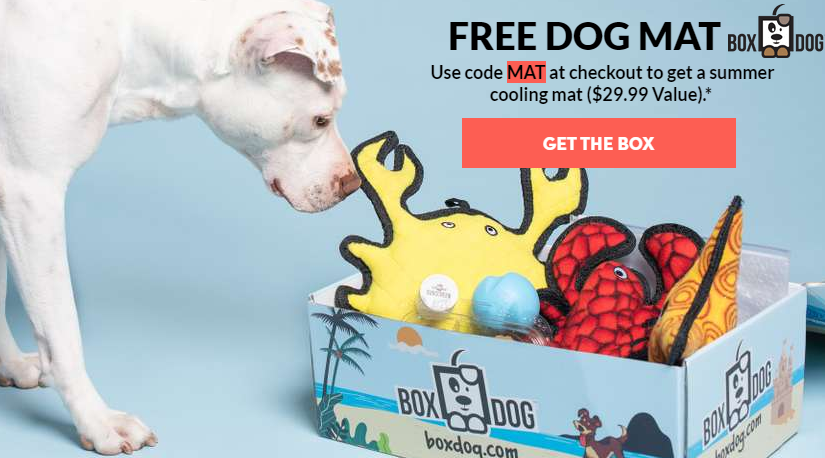 Box Dog deals