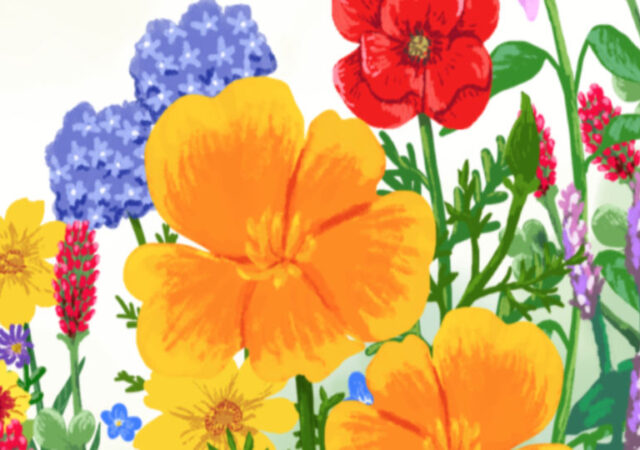 FREE Bee-Friendly Flower Seeds from Zarbee’s