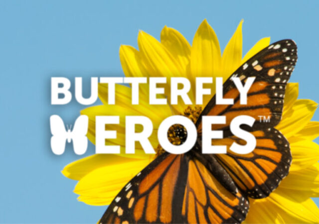 FREE Butterfly Garden Starter Kit