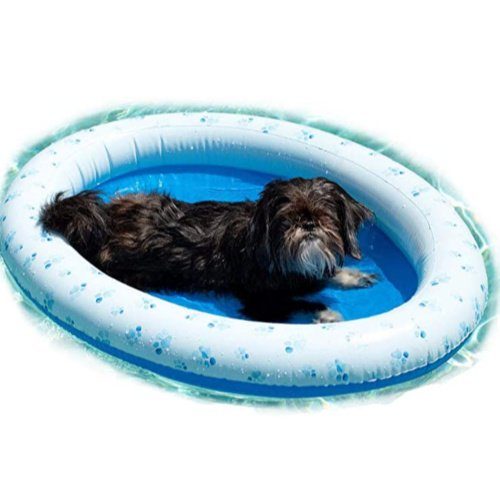 Inflatable Pet Pool Toys (2)