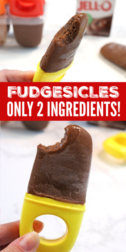 Two Ingredient Fudgesicles