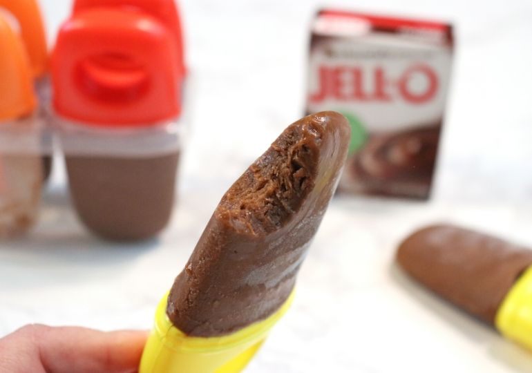 fudgesicle pudding pops