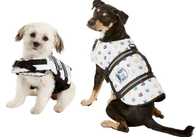 Dog Life Jackets on Sale - White Dog and Black Dog in Life Jackets
