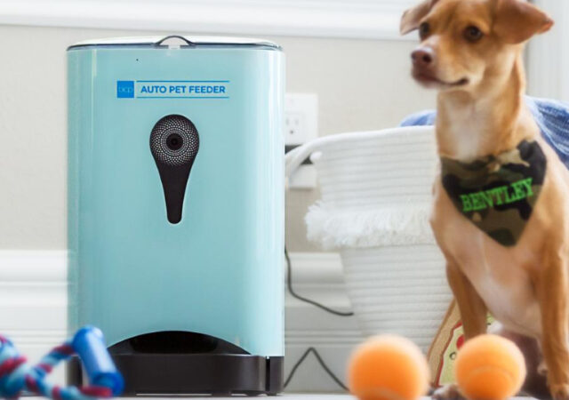 Smart Automatic Pet Feeder on Sale